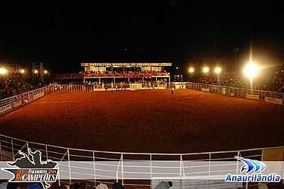 ARENA DE RODEIO-FOTO:ALESSANDRA TERRENGUE  - ANAURILNDIA - MS