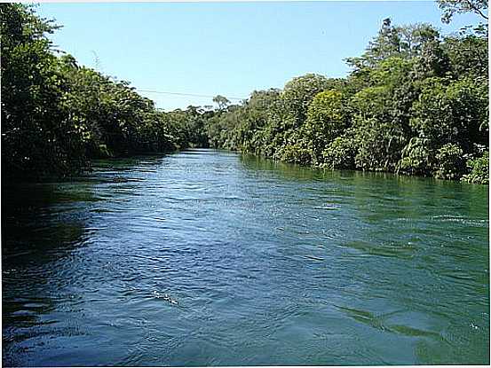 GUA CRISTALINA NO RIO FORMOSO EM BONITO-MS-FOTO:PAULO YUJI TAKARADA - BONITO - MS