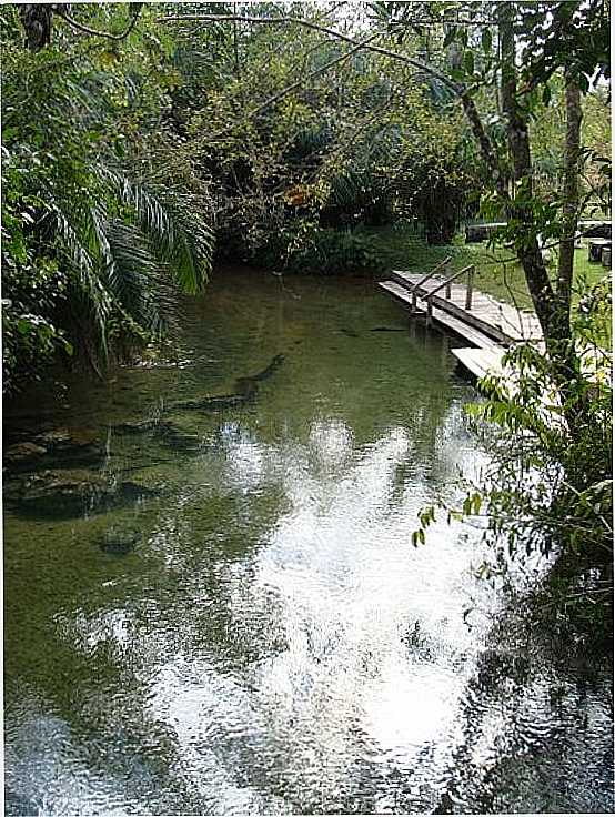 BALNERIO DO GORDO NO RIO FORMOSO EM BONITO-MS-FOTO:PAULO YUJI TAKARADA5 - BONITO - MS