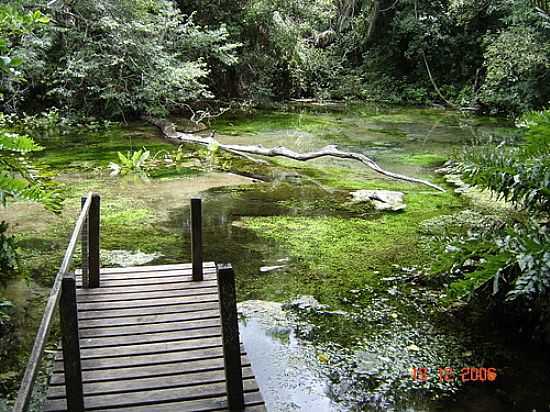 NASCENTE DO RIO SUCUR EM BONITO-MS-FOTO:__ALU1510__ - BONITO - MS