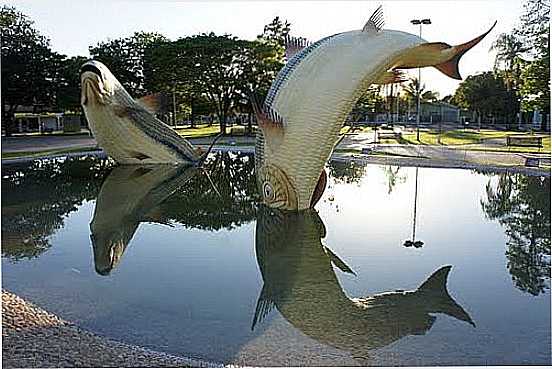 PIRAPUTANGAS NA PRAA DA LIBERDADE EM BONITO-MS-FOTO:PAULO YUJI TAKARADA - BONITO - MS