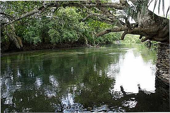 RIO SUCURI EM BONITO-MS-FOTO:PAULO YUJI TAKARADA - BONITO - MS