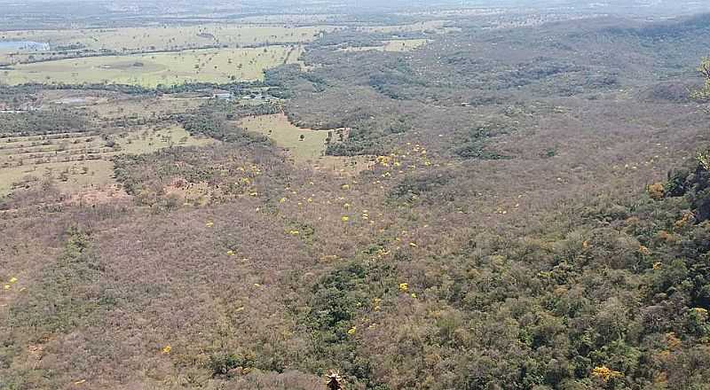 CAMISO-MS-VISTA AREA DA REGIO-FOTO:FACEBOOK - CAMISO - MS