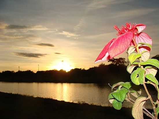 FLOR E NASCER DO SOL NO PARQUE DAS NAES INDGENAS EM CAMPO GRANDE-MS-FOTO:PAULO YUJI TAKARADA - CAMPO GRANDE - MS