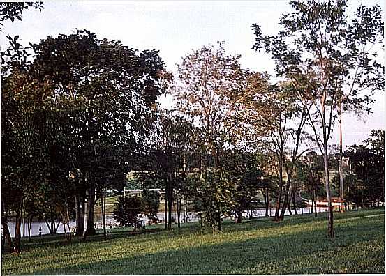 LAGOA NO PARQUE DAS NAES INDGENAS EM CAMPO GRANDE-MS-FOTO:JEFFERSON FRANA - CAMPO GRANDE - MS