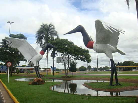 TUIUIUS NA PRAA JUNTO AO AEROPORTO INTERNACIONAL DE CAMPO GRANDE-FOTO:PAULO YUJI TAKARADA - CAMPO GRANDE - MS