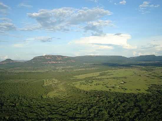 VISTA DA REGIO DE CIPOLNDIA-MS-FOTO:ANDRE_RIBEIRO - CIPOLNDIA - MS