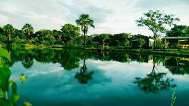 PRESERVANDO A RICA NATUREZA!, POR TEODOMIRO FERNANDES DA SILVA - CORGUINHO - MS