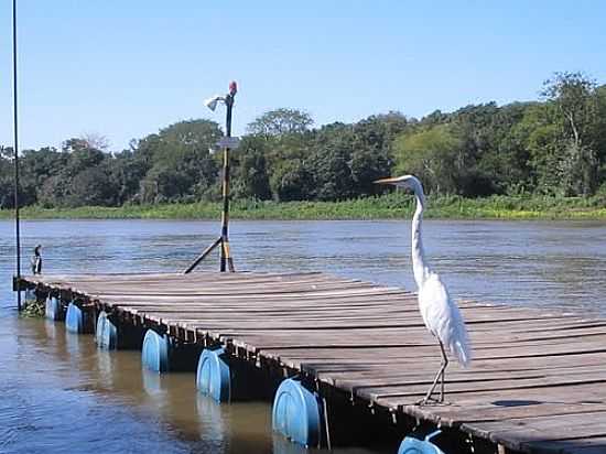 GARA NO TRAPICHE EM CORUMB-FOTO:VENICIUS - CORUMB - MS