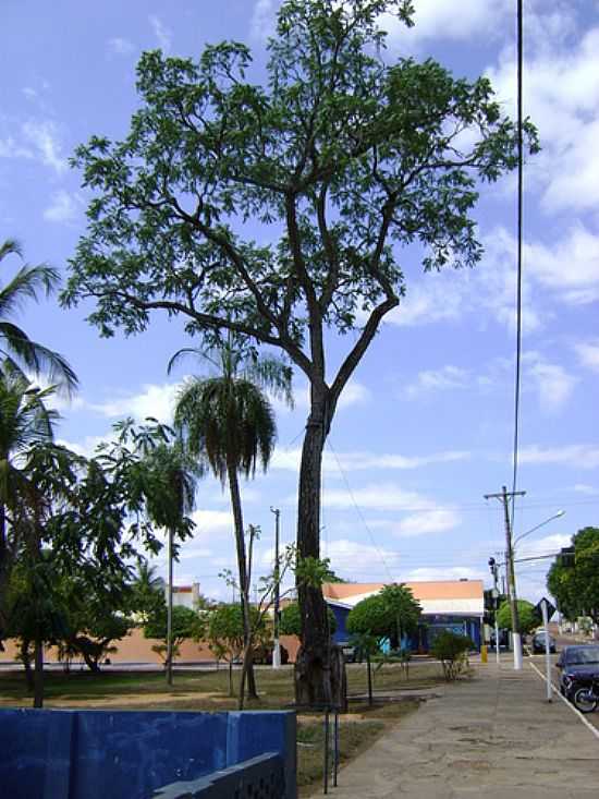 P DE CEDRO DO ZACARIA MOURO HISTRICO EM COXIM-FOTO:HERMES PEIXOTO [PANORAMIO] - COXIM - MS