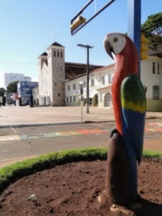 PAPAGAIO E CATEDRAL DA IMACULADA CONCEIO-FOTO:PAULO YUJI TAKARADA [PANORAMIO] - DOURADOS - MS