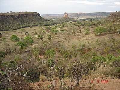 PEDRA BONITA POR JUVENAL COELHO RIBEIRO - FIGUEIRO - MS