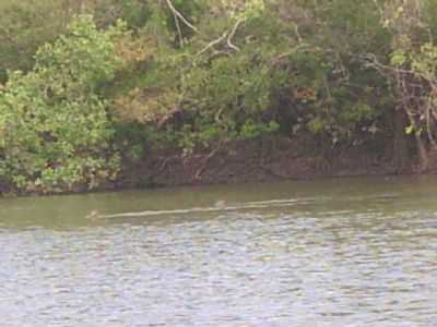 RIO CORREGO DA LATA, POR VALNEY JOS - JACARE - MS