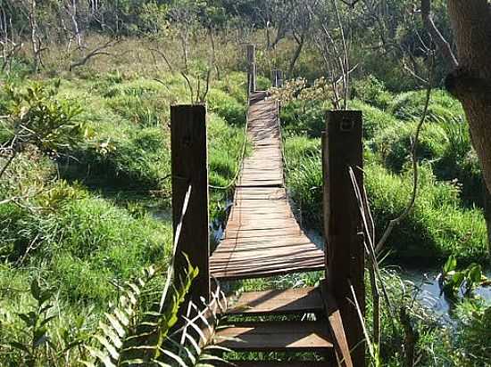 PONTE PARA TRILHA ECOLGICA EM JATE-FOTO:ANTONIO B. DE SOUZA - JATE - MS