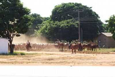 ESTRADA BOIADEIRA-FOTO:MARIO BUENO - JUT - MS