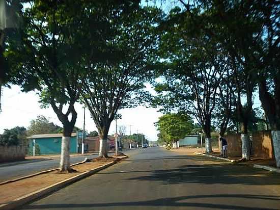 AVENIDA EM LAGOA BONITA-FOTO:KLECIO RICARDO - LAGOA BONITA - MS