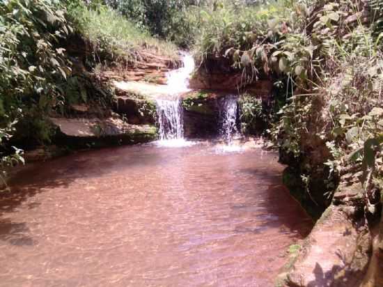 CACHOERINHA, POR WERGTON FIDELIS DA SILVA - MORUMBI - MS