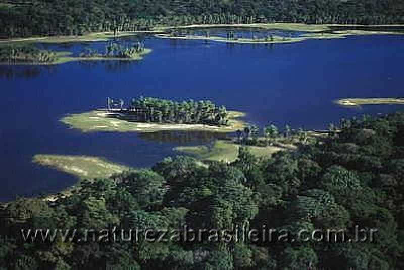 NHECOLNDIA-MS-RIO NO PANTANAL-FOTO:ZIG KOCH - NHECOLNDIA - MS