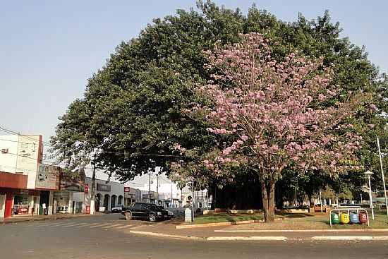 PARANABA-MS-PRAA DA REPBLICA E A GRANDE FIGUEIRA-FOTO:PAULO YUJI TAKARADA - PARANABA - MS