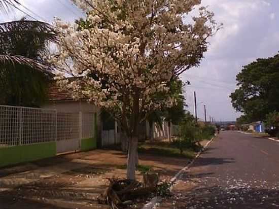 RUA EM RIBAS DO RIO PARDO - RIBAS DO RIO PARDO - MS