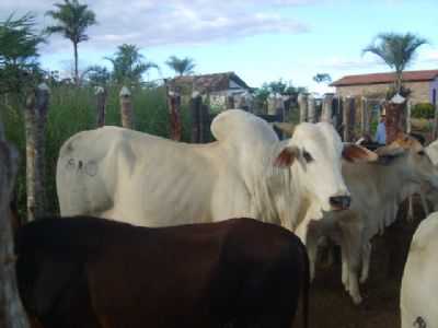 VALE DO PARAISO EM BOA VISTA, POR ROMILTON ARAGO - BOA VISTA DO TUPIM - BA