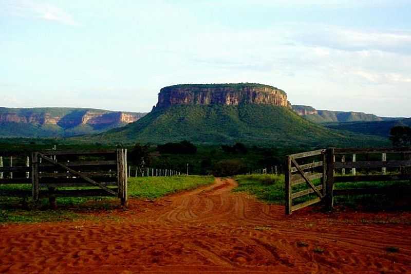 IMAGENS DA CIDADE DE RIO VERDE DE MATO GROSSO - MS - RIO VERDE DE MATO GROSSO - MS