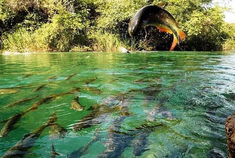 IMAGENS DA CIDADE DE RIO VERDE DE MATO GROSSO - MS - RIO VERDE DE MATO GROSSO - MS