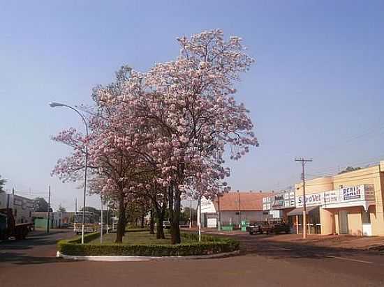 AVENIDA EM SIDROLNDIA-FOTO:VALMOR LUIZ ADONA - SIDROLNDIA - MS