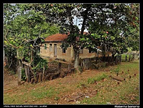 REA RURAL DE TAUNAY-MS-FOTO:ROBERTA SORIANO - TAUNAY - MS