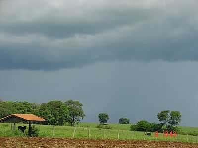 IMAGEM RURAL-FOTO:TOLENTINO JR  - TERENOS - MS