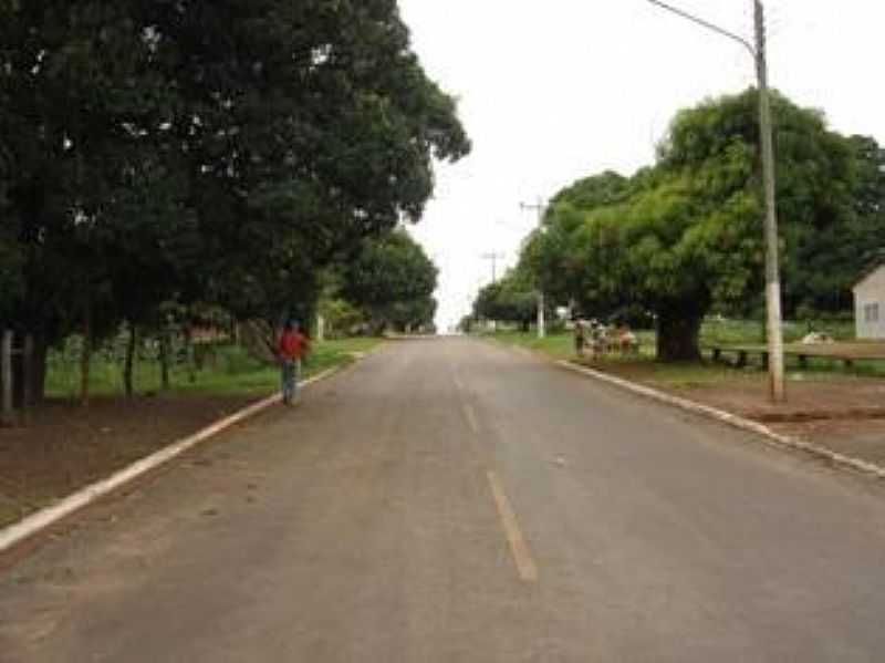 GUA FRIA-MT-AVENIDA DE ENTRADA DA CIDADE-FOTO:WWW.ICMBIO.GOV.BR - GUA FRIA - MT