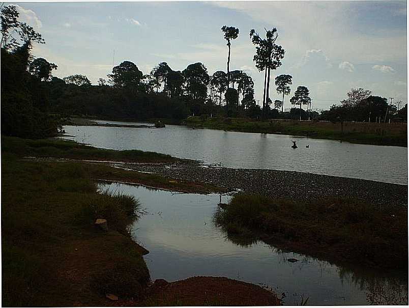 PARQUE DAS CAPIVARAS - POR FABIO BONADEU - ALTA FLORESTA - MT