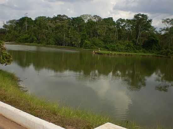 PARQUE DAS CAPIVARAS EM ALTA FLORESTA-FOTO:FABIO BONADEU - ALTA FLORESTA - MT