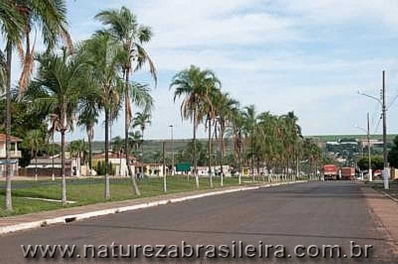 ALTO GARAS-MT-AVENIDA DE ENTRADA DA CIDADE-FOTO:ZIG KOCH - ALTO GARAS - MT