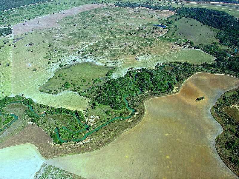 IMAGENS DA CIDADE DE ALTO TAQUARI - MT - ALTO TAQUARI - MT