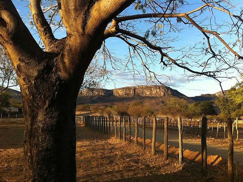 BOM SOSSEGO-BA-FAZENDA EM BOM SOSSEGO-FOTO:ACARLOSRODRIGUES - BOM SOSSEGO - BA