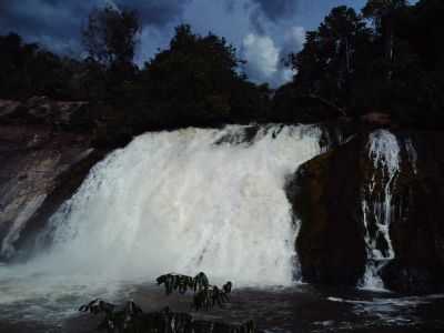 CACHOEIRA DO XIMARI, POR KEYLA SANTOS - APIACS - MT