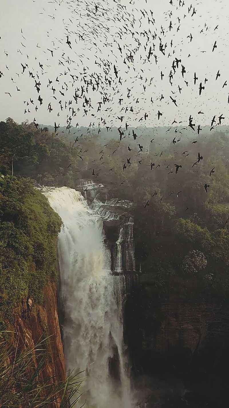 IMAGENS DA CIDADE DE IRAPUAN - MT - ARIPUAN - MT