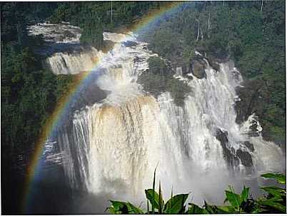 SALTO DAS ANDORINHAS, POR SILVIA ESTEVES GRAPIUNA - ARIPUAN - MT