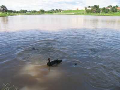 LAGO ARTIFICIAL EM BARRA DO BUGRES, POR RICARDO - BARRA DO BUGRES - MT