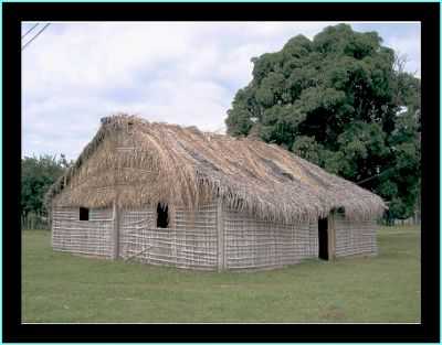 ALDEIA UMUTINA, POR RICARDO - BARRA DO BUGRES - MT