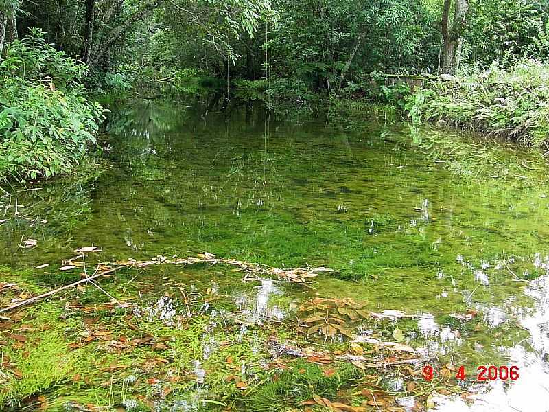 BURITI-MT-RIACHO DO COLGIO EVANGLICO-FOTO:NLIO OLIVEIRA - BURITI - MT