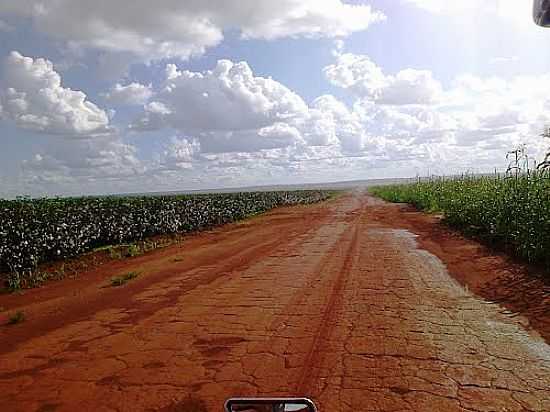 ESTRADA DO BALNERIO RIO VERDE EM CAMPO NOVO DO PARECIS-MT-FOTO:FERNANDO HENRIQUE ZA - CAMPO NOVO DO PARECIS - MT