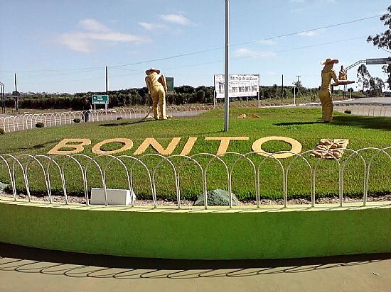 TREVO DE ENTRADA DA CIDADE DE BONITO-BA-FOTO:LYRO OLIVEIRA - BONITO - BA