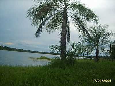 PALMEIRA MARGEM REPRESA POR ALAOR GOMES - CANABRAVA DO NORTE - MT