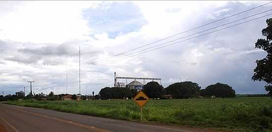 BUNGE ALIMENTOS - UNIDADE CARAVAGIO-FOTO:FERNANDO LUIZ SCHERE - CARAVAGIO - MT