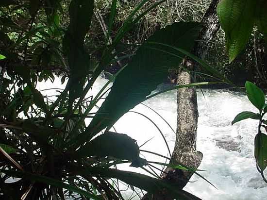 RIO CASCA NA CHAPADA DOS GUIMARAES-MT-FOTO:TONINHO TUKAYA - CHAPADA DOS GUIMARES - MT