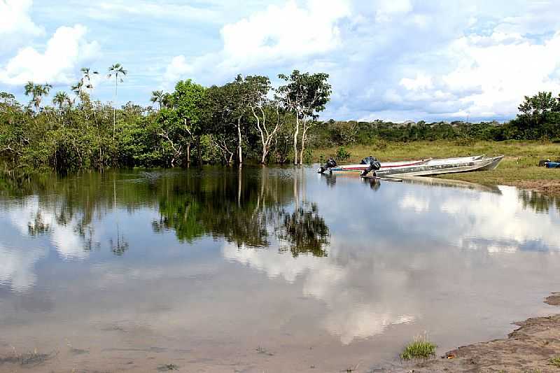 IMAGENS DA CIDADE DE GACHA DO NORTE - MT - GACHA DO NORTE - MT