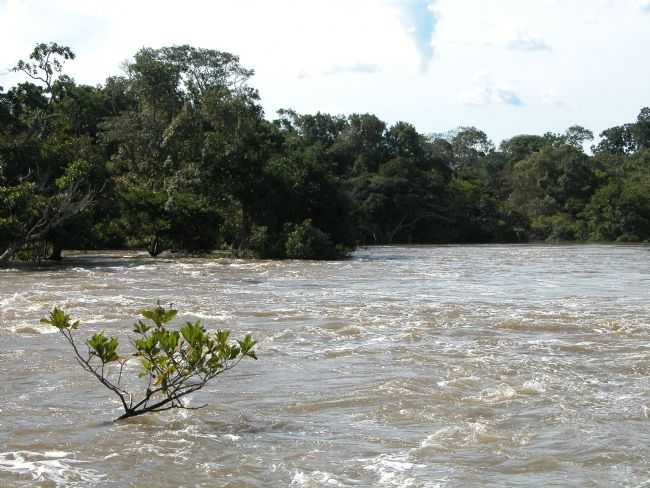 CACHOEIRINHA, POR LUCIA ROSA DOS SANTOS - GUARANT DO NORTE - MT