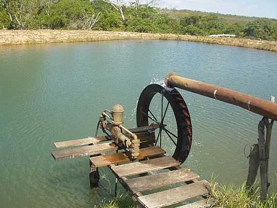 GUIRATINA-MT-RODA DGUA-FOTO:TH.ARRUDA - GUIRATINGA - MT